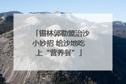 锡林郭勒盟治沙小妙招 给沙地吃上“营养餐”