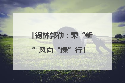 锡林郭勒：乘“新”风向“绿”行