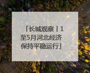 长城观察丨1至5月河北经济保持平稳运行