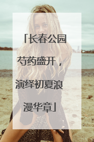 长春公园芍药盛开，演绎初夏浪漫华章
