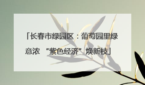 长春市绿园区：葡萄园里绿意浓 “紫色经济”焕新枝
