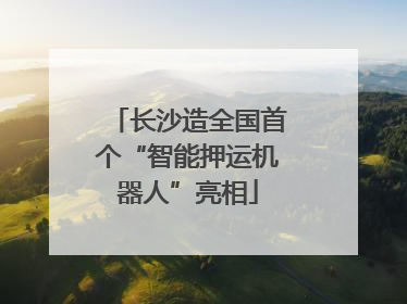 长沙造全国首个“智能押运机器人”亮相