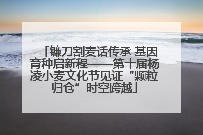 镰刀割麦话传承 基因育种启新程——第十届杨凌小麦文化节见证“颗粒归仓”时空跨越