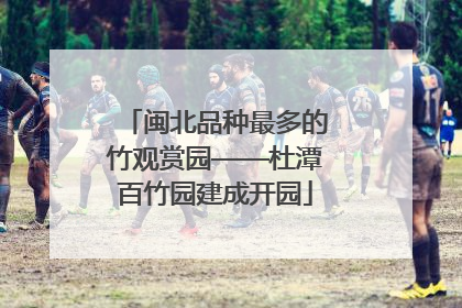 闽北品种最多的竹观赏园——杜潭百竹园建成开园