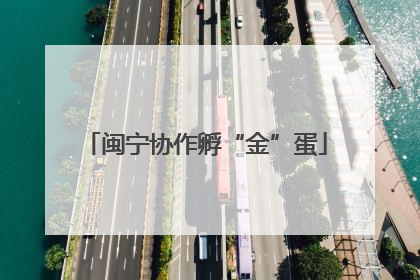闽宁协作孵“金”蛋