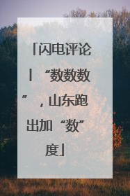 闪电评论丨“数数数”，山东跑出加“数”度
