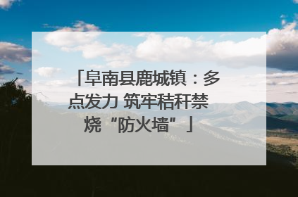 阜南县鹿城镇：多点发力 筑牢秸秆禁烧“防火墙”