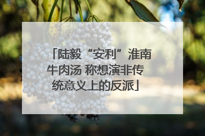 陆毅“安利”淮南牛肉汤 称想演非传统意义上的反派