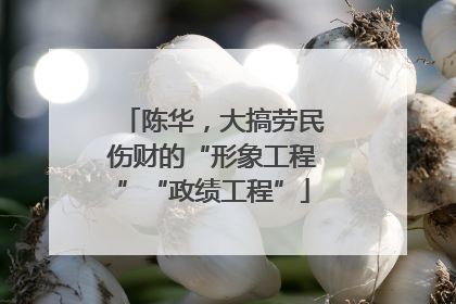 陈华，大搞劳民伤财的“形象工程”“政绩工程”