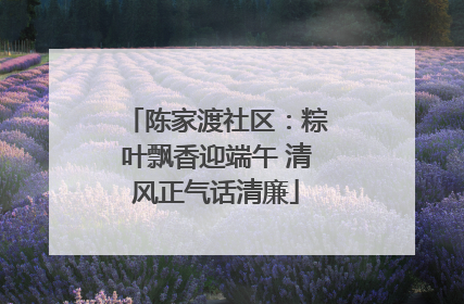 陈家渡社区：粽叶飘香迎端午 清风正气话清廉