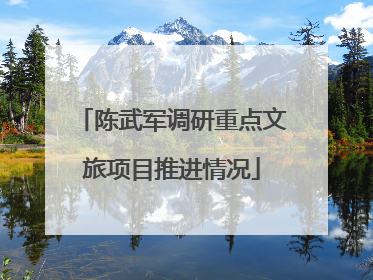 陈武军调研重点文旅项目推进情况