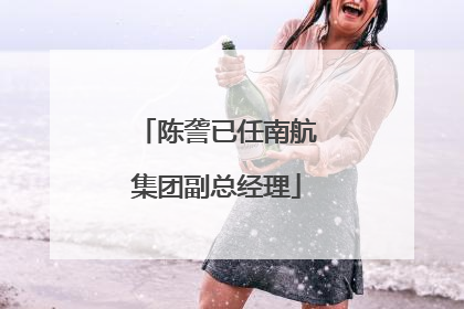 陈詟已任南航集团副总经理