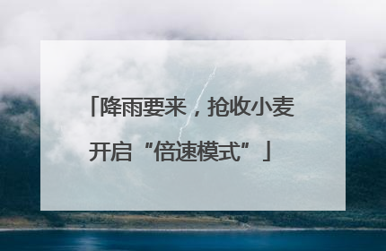 降雨要来，抢收小麦开启“倍速模式”