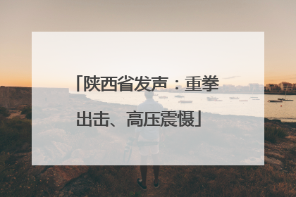 陕西省发声：重拳出击、高压震慑