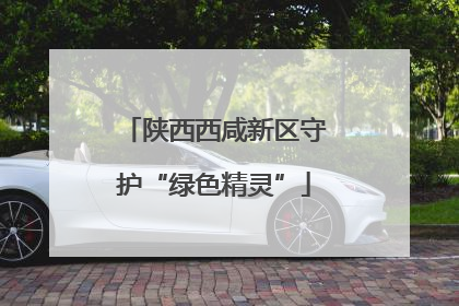 陕西西咸新区守护“绿色精灵”