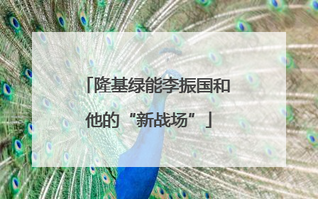 隆基绿能李振国和他的“新战场”