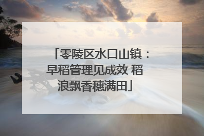 零陵区水口山镇：早稻管理见成效 稻浪飘香穗满田