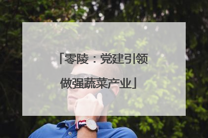 零陵：党建引领 做强蔬菜产业