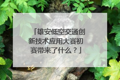 雄安低空交通创新技术应用大赛初赛带来了什么？