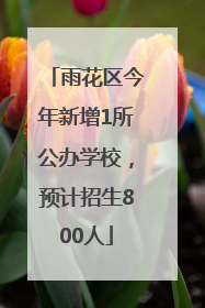 雨花区今年新增1所公办学校，预计招生800人