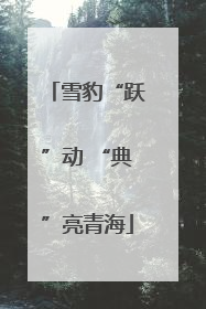 雪豹“跃”动 “典”亮青海