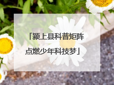 颍上县科普矩阵点燃少年科技梦