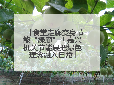 食堂走廊变身节能“绿廊”！嘉兴机关节能展把绿色理念融入日常