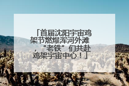 首届沈阳宇宙鸡架节燃爆浑河外滩，“老铁”们共赴鸡架宇宙中心！