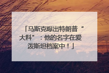 马斯克曝出特朗普“大料”：他的名字在爱泼斯坦档案中！