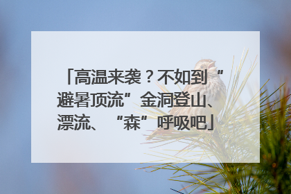 高温来袭？不如到“避暑顶流”金洞登山、漂流、“森”呼吸吧