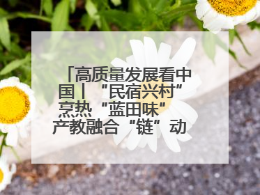 高质量发展看中国丨“民宿兴村”烹热“蓝田味” 产教融合“链”动发展新引擎