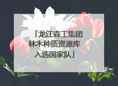 龙江森工集团林木种质资源库入选国家队