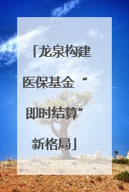 龙泉构建医保基金“即时结算”新格局