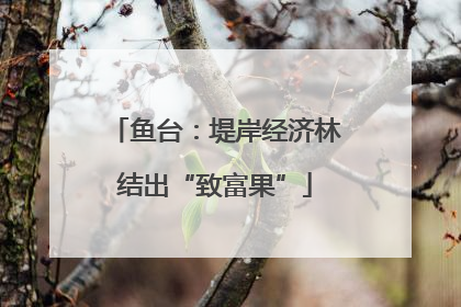 鱼台：堤岸经济林结出“致富果”