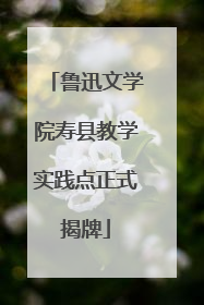 鲁迅文学院寿县教学实践点正式揭牌