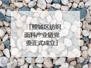 鲤城区纺织面料产业链党委正式成立