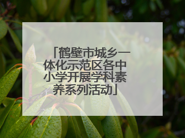 鹤壁市城乡一体化示范区各中小学开展学科素养系列活动