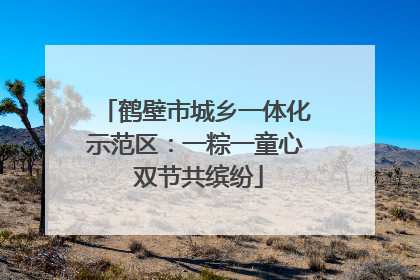 鹤壁市城乡一体化示范区：一粽一童心 双节共缤纷