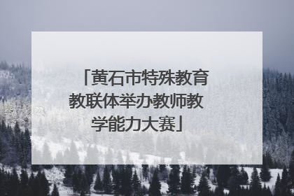 黄石市特殊教育教联体举办教师教学能力大赛