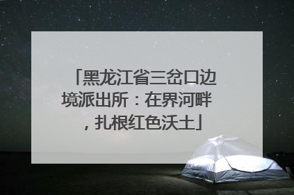 黑龙江省三岔口边境派出所：在界河畔，扎根红色沃土