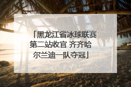 黑龙江省冰球联赛第二站收官 齐齐哈尔兰迪一队夺冠