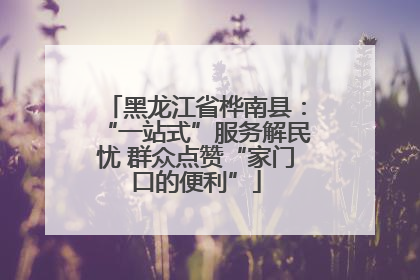 黑龙江省桦南县：“一站式”服务解民忧 群众点赞“家门口的便利”