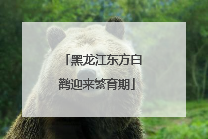 黑龙江东方白鹳迎来繁育期