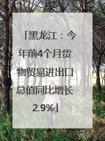 黑龙江：今年前4个月货物贸易进出口总值同比增长2.9%