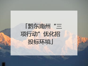 黔东南州“三项行动”优化招投标环境