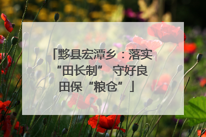 黟县宏潭乡：落实“田长制” 守好良田保“粮仓”