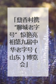 鼎香村携“聊城老字号”惊艳亮相第九届中华老字号（山东）博览会