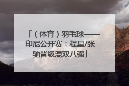 （体育）羽毛球——印尼公开赛：程星/张驰晋级混双八强