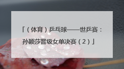 （体育）乒乓球——世乒赛：孙颖莎晋级女单决赛（2）