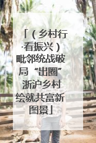 （乡村行·看振兴）毗邻统战破局“出圈” 浙沪乡村绘就共富新图景